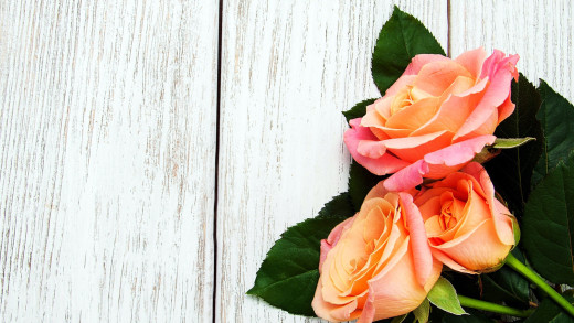 1475493 (a): :2560x1440